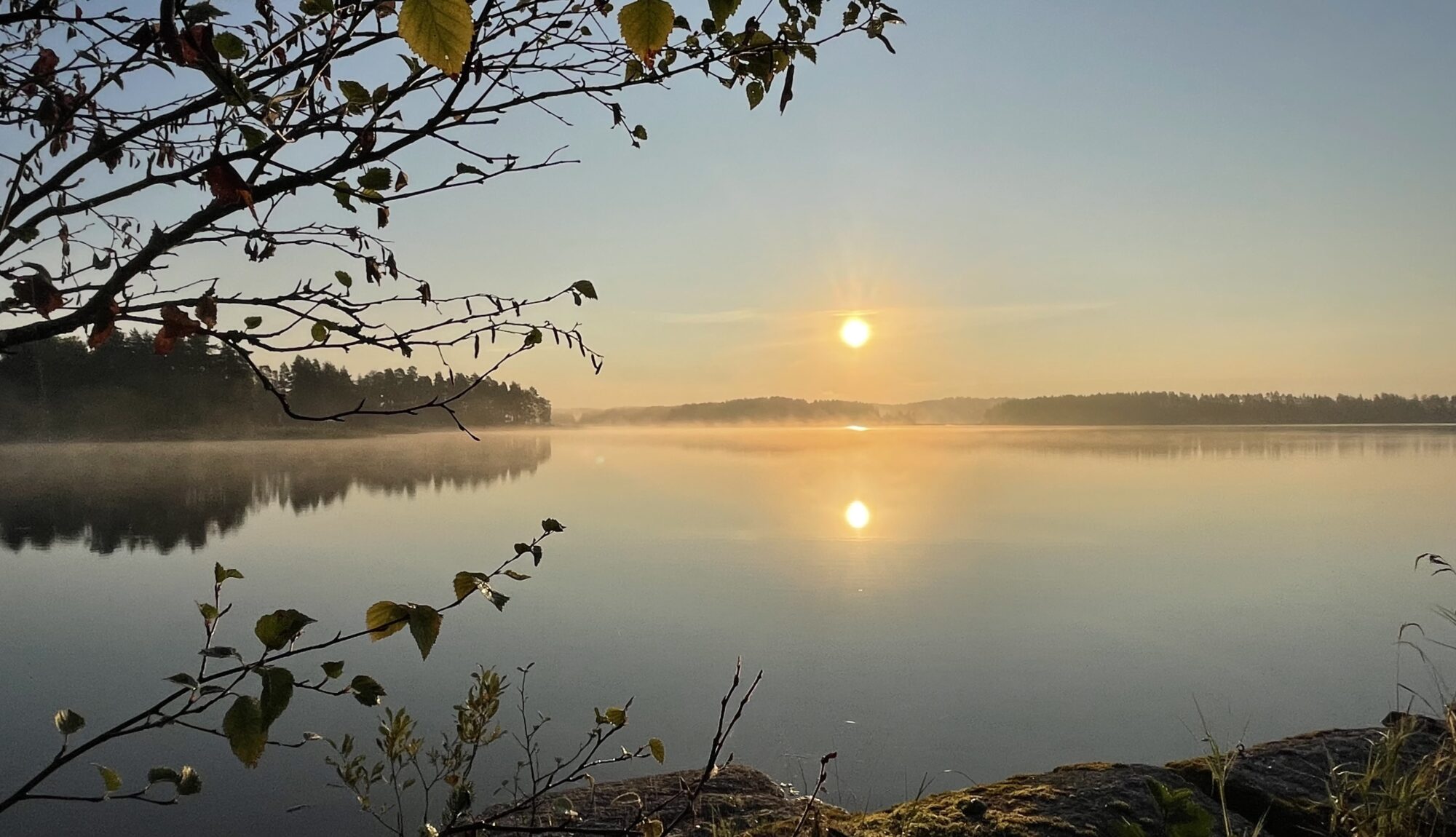 Valokuvaaja: Liisa Niiva-Korpela