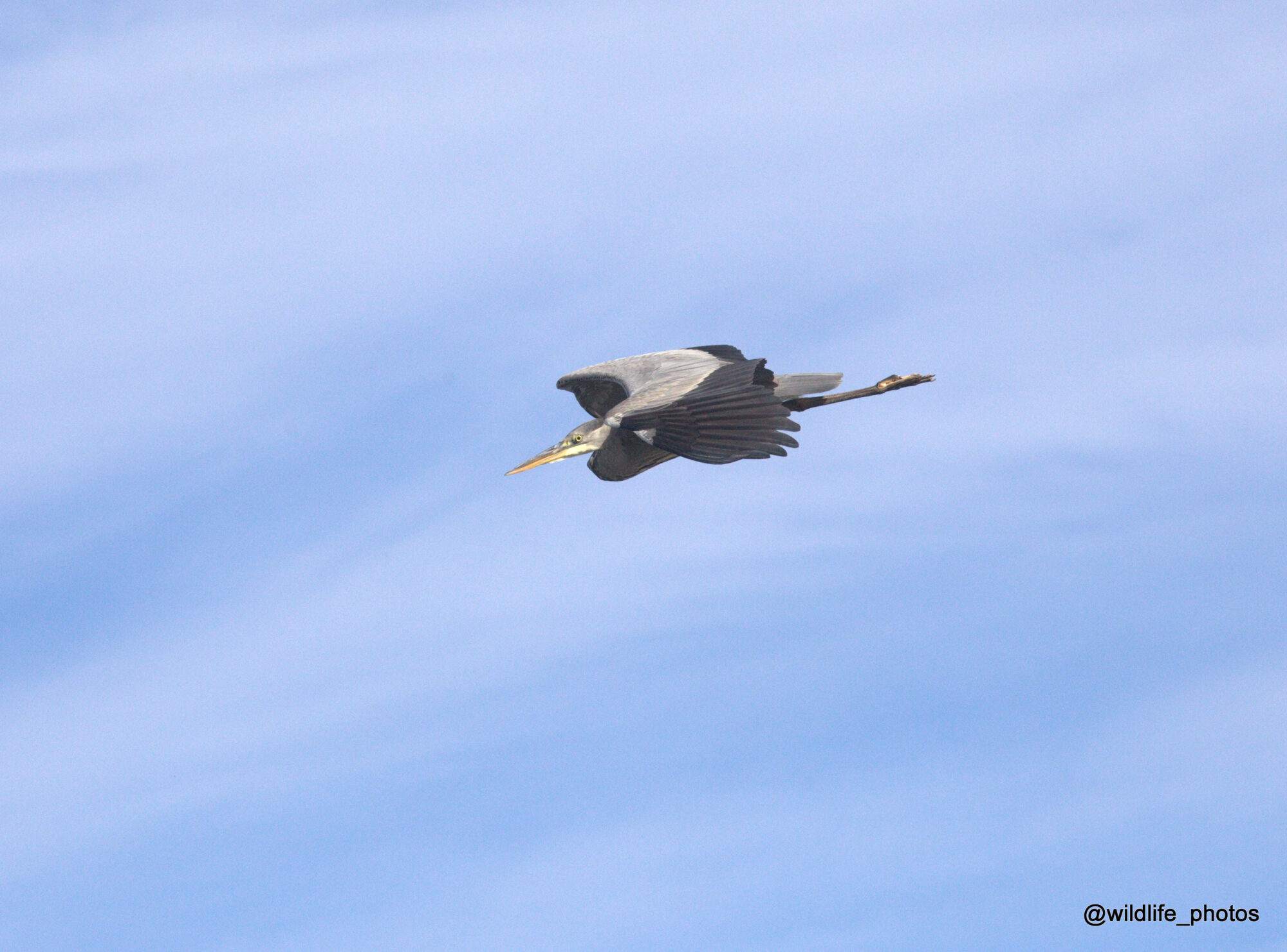 Valokuvaaja: tapio keinonen