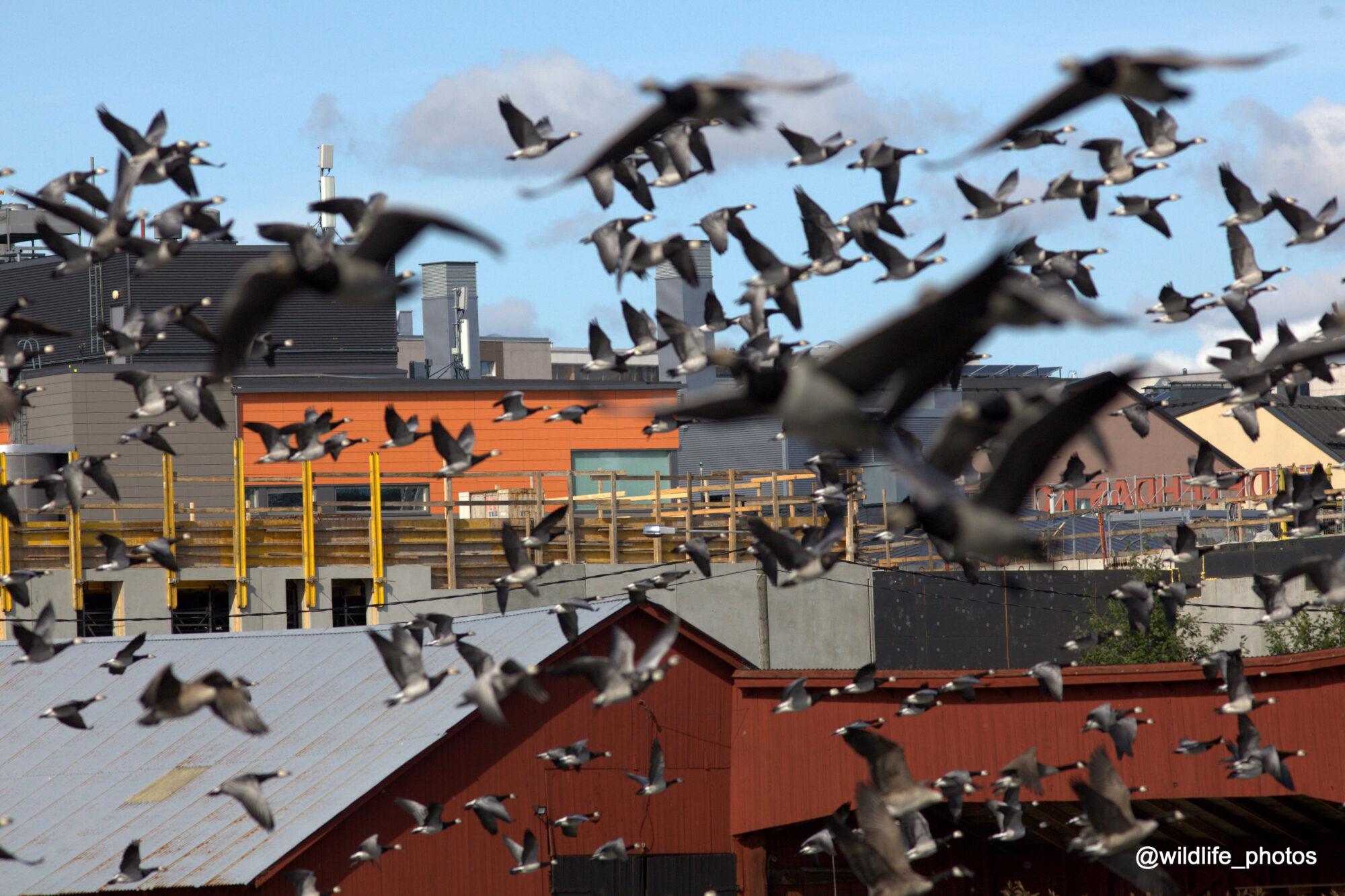 Valokuvaaja: tapio keinonen Valokuvaaja: tapio keinonen
