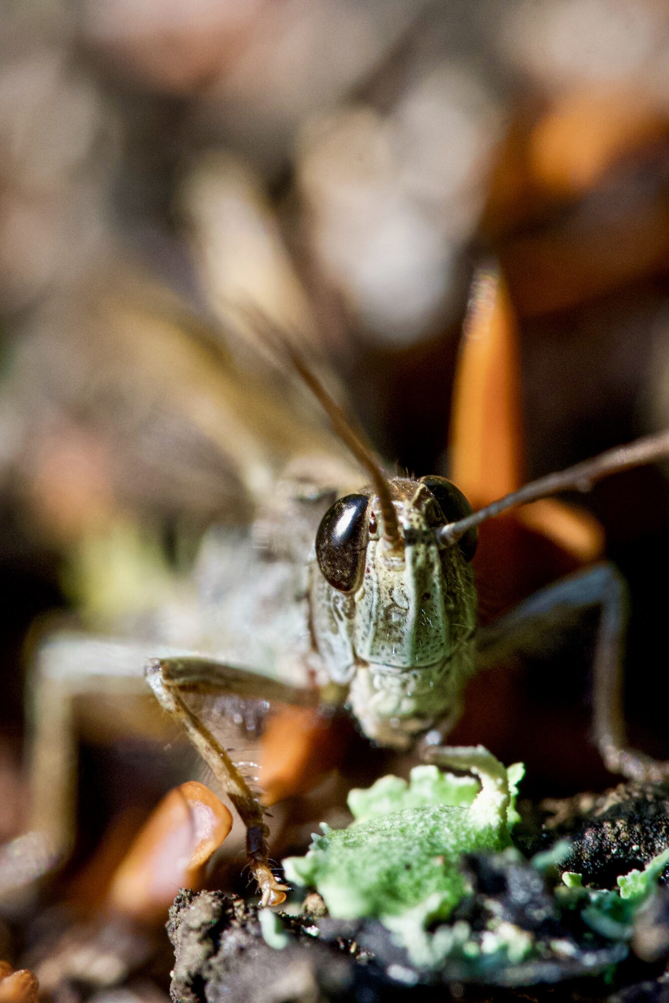 Valokuvaaja: Janne Vasama