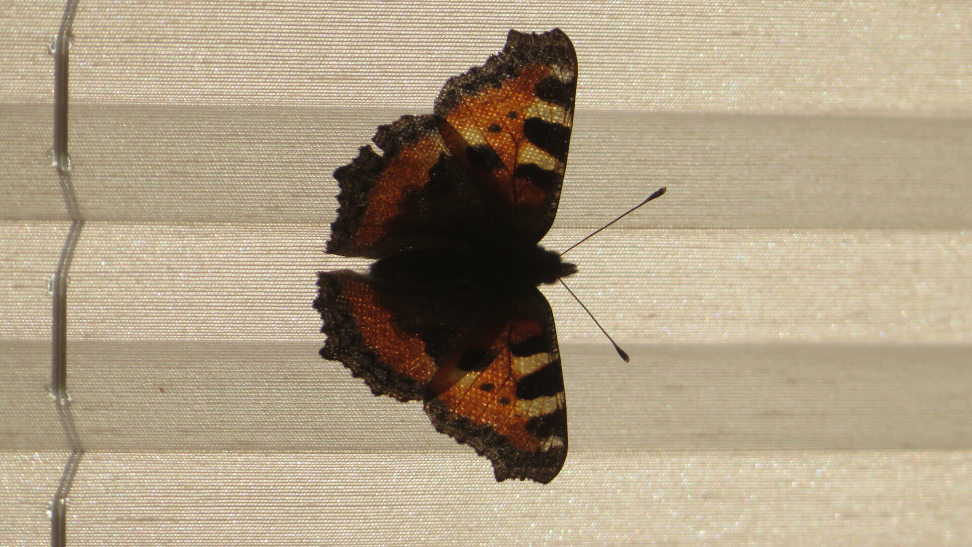 Valokuvaaja: Risto Kangassalo