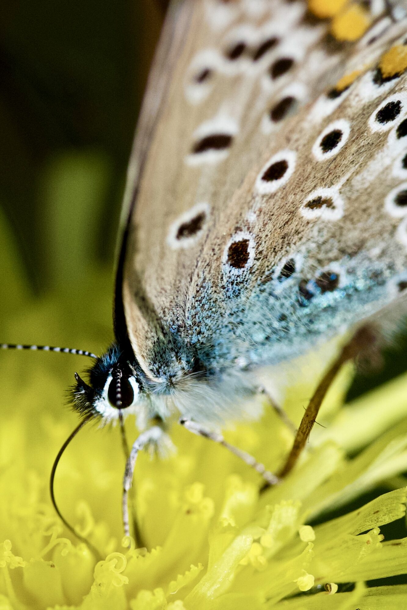 Valokuvaaja: Janne Vasama