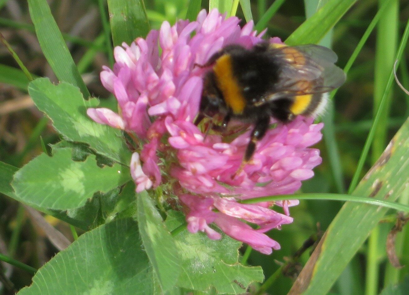 Valokuvaaja: Risto Kangassalo