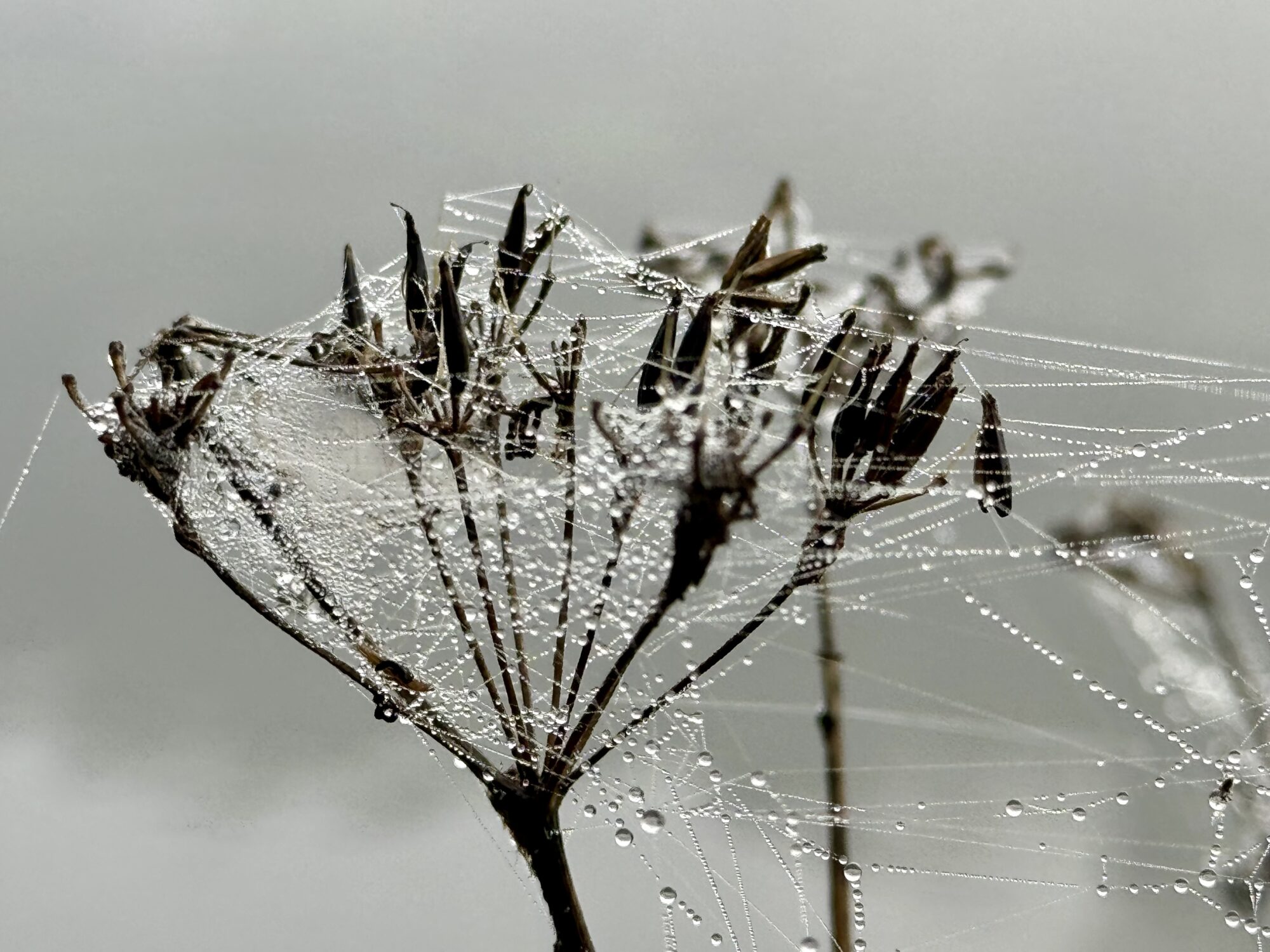 Valokuvaaja: Ari Bungers Valokuvaaja: Ari Bungers