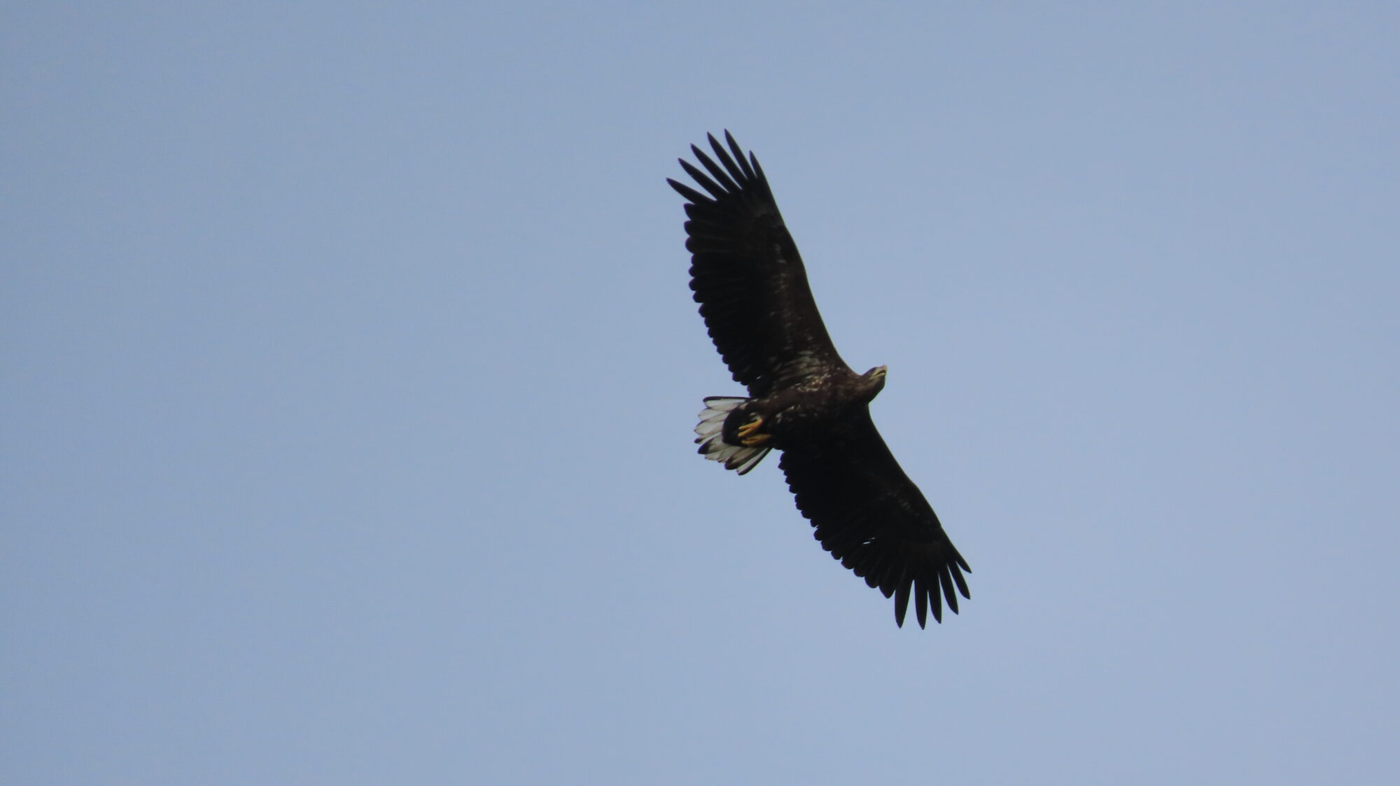 Valokuvaaja: Netta Halmu