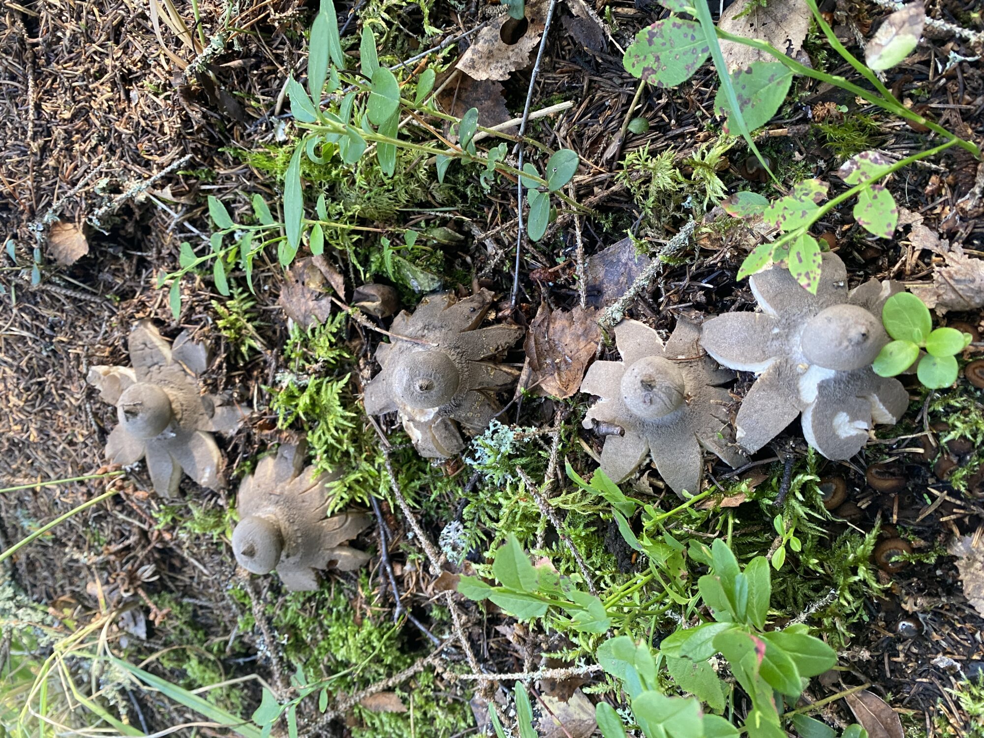 Valokuvaaja: Matkku Ranta-Eilola