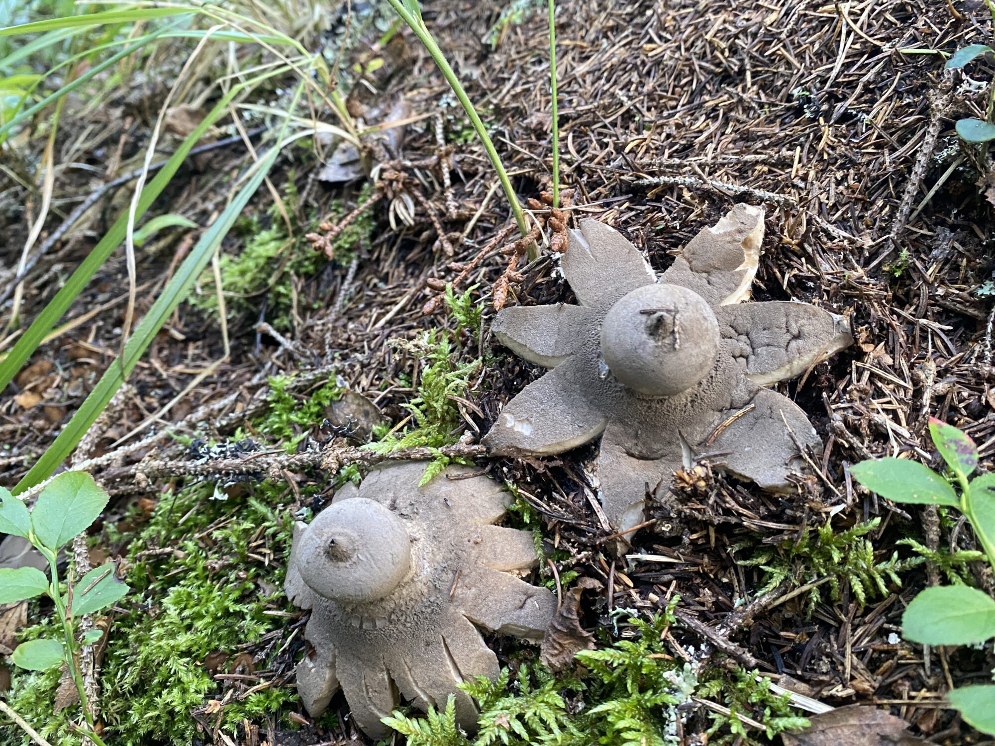 Valokuvaaja: Markku Ranta-Eilola