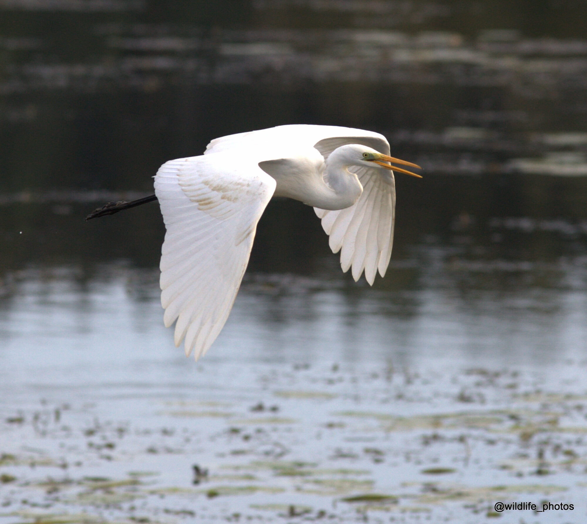 Valokuvaaja: tapio keinonen Valokuvaaja: tapio keinonen