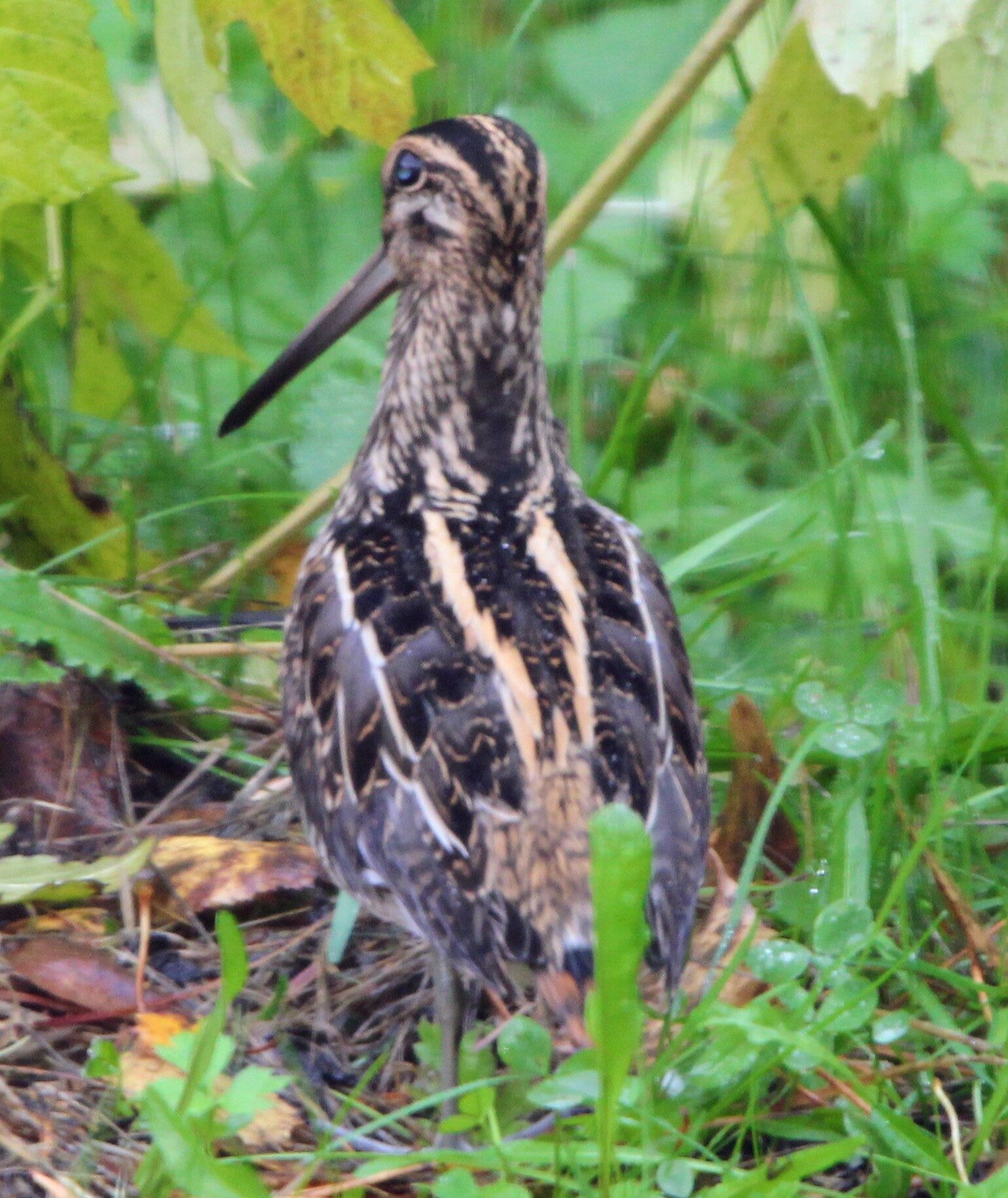 Valokuvaaja: Anu Lapinlampi