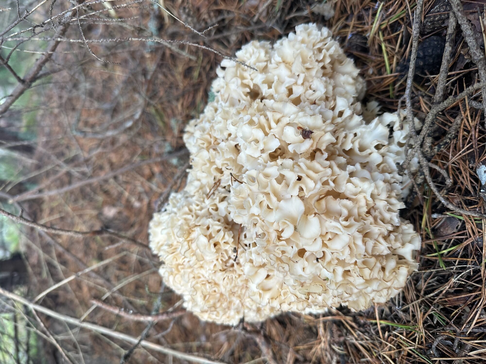 Valokuvaaja: Sanna Kauppinen