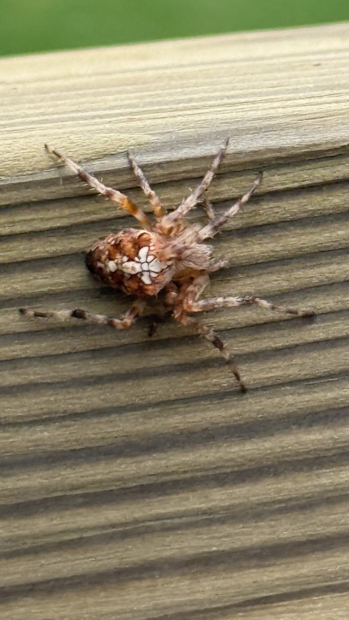 Valokuvaaja: Kirsi-Marja Mäkinen