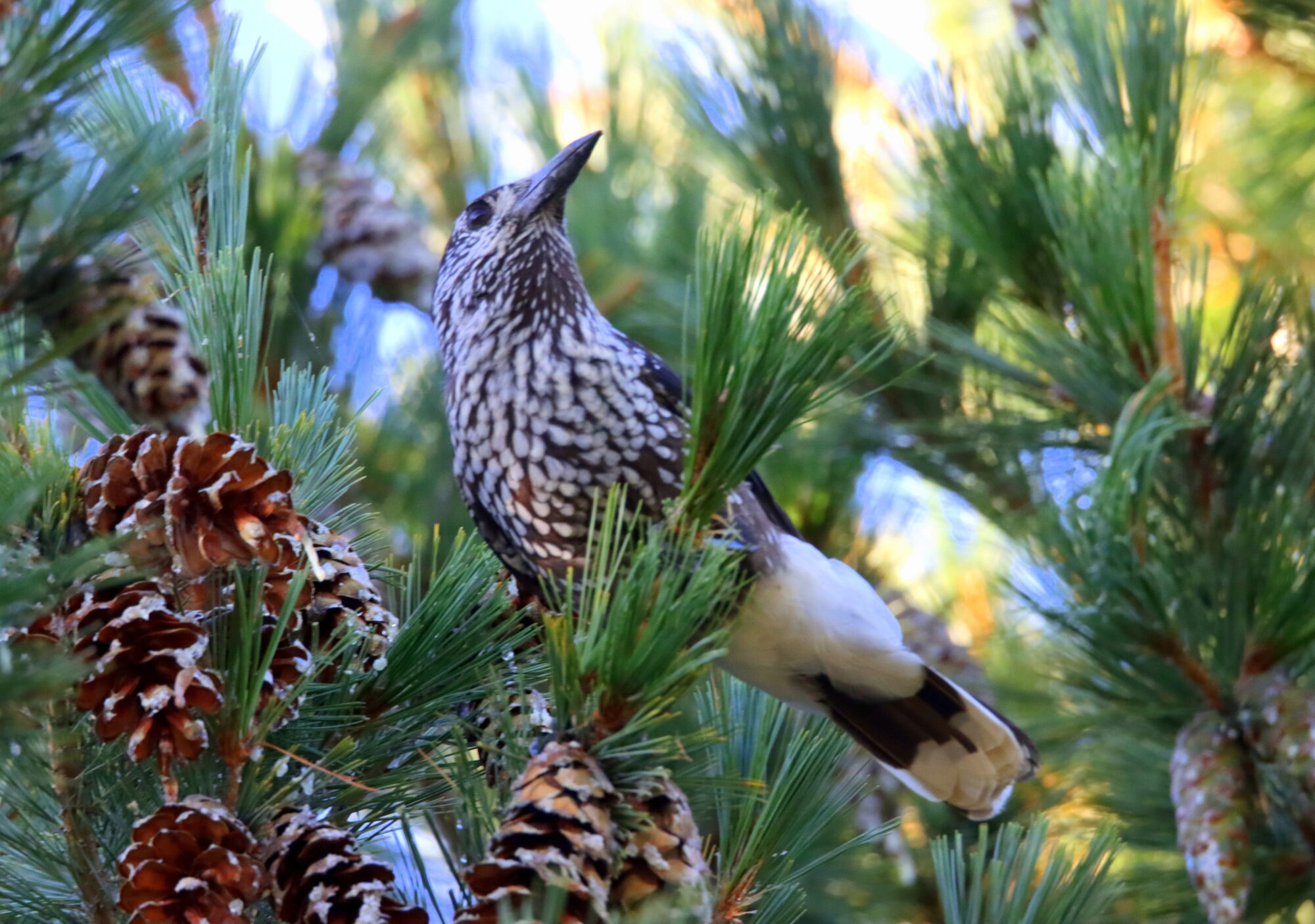 Valokuvaaja: Irja Lehtinen