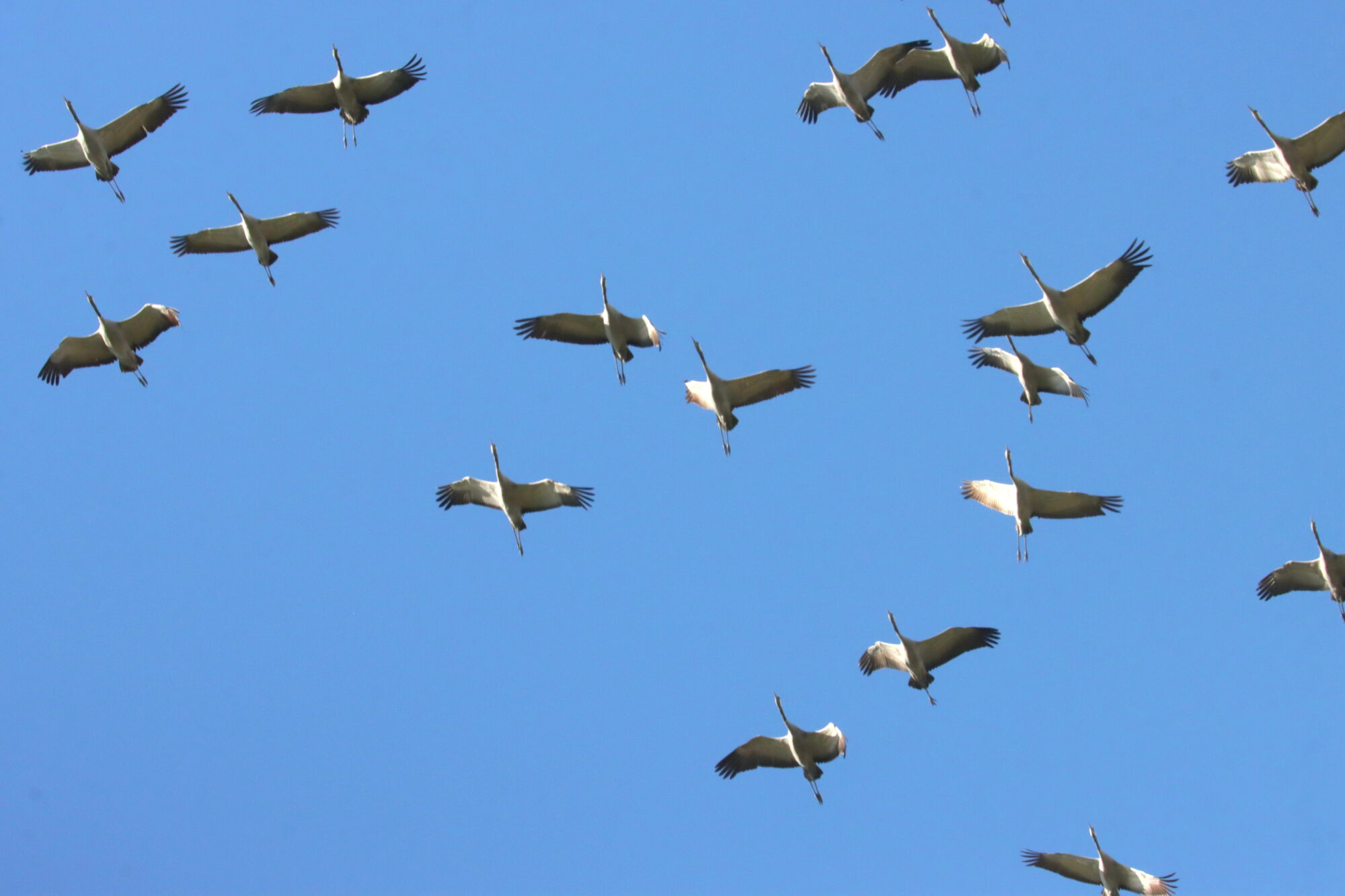 Valokuvaaja: Irja Lehtinen