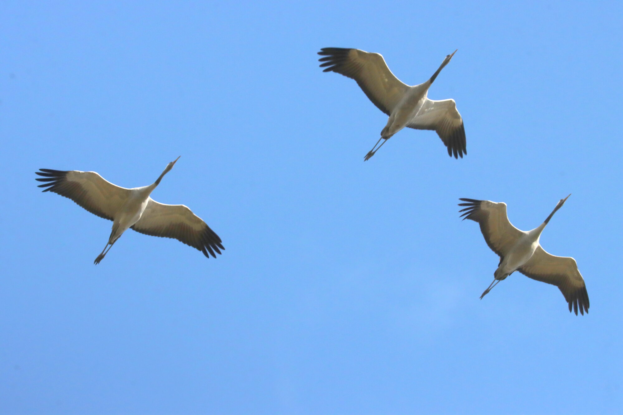 Valokuvaaja: Irja Lehtinen