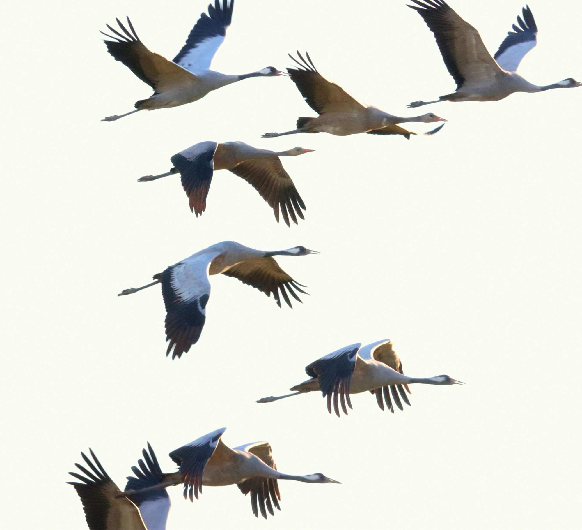 Valokuvaaja: Irja Lehtinen