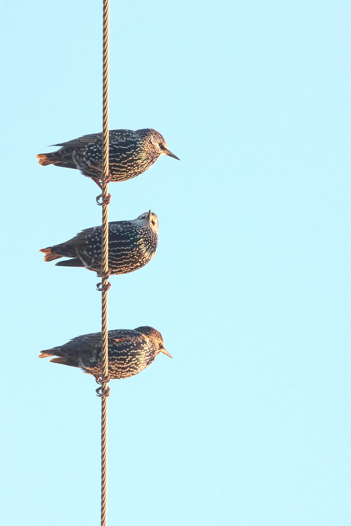 Valokuvaaja: Irja Lehtinen