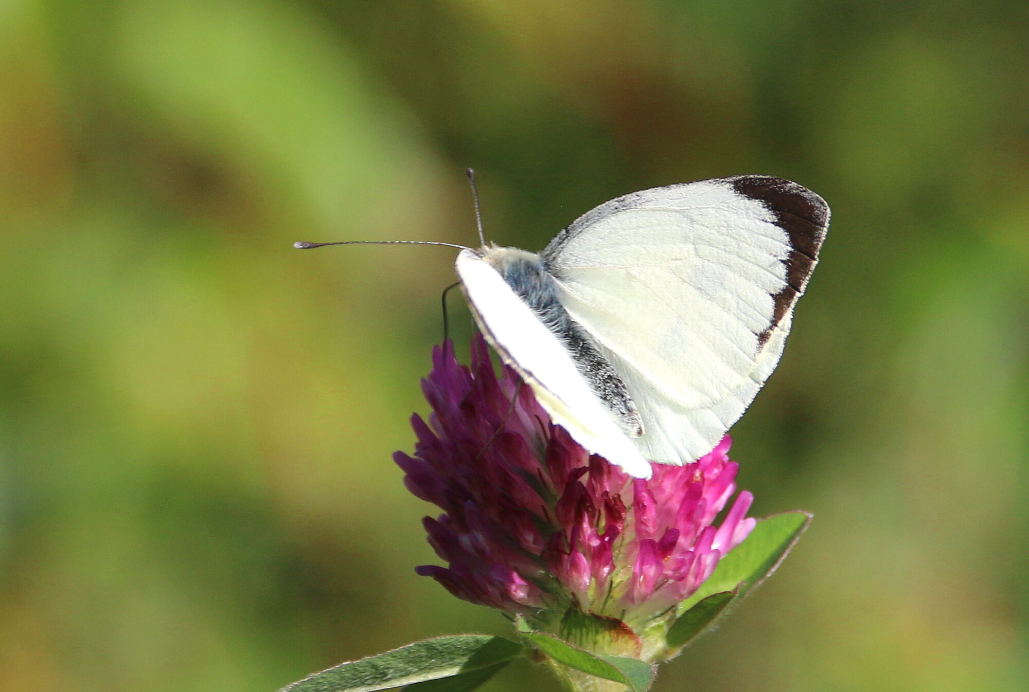 Valokuvaaja: Tuukka Pahtamaa Valokuvaaja: Tuukka Pahtamaa