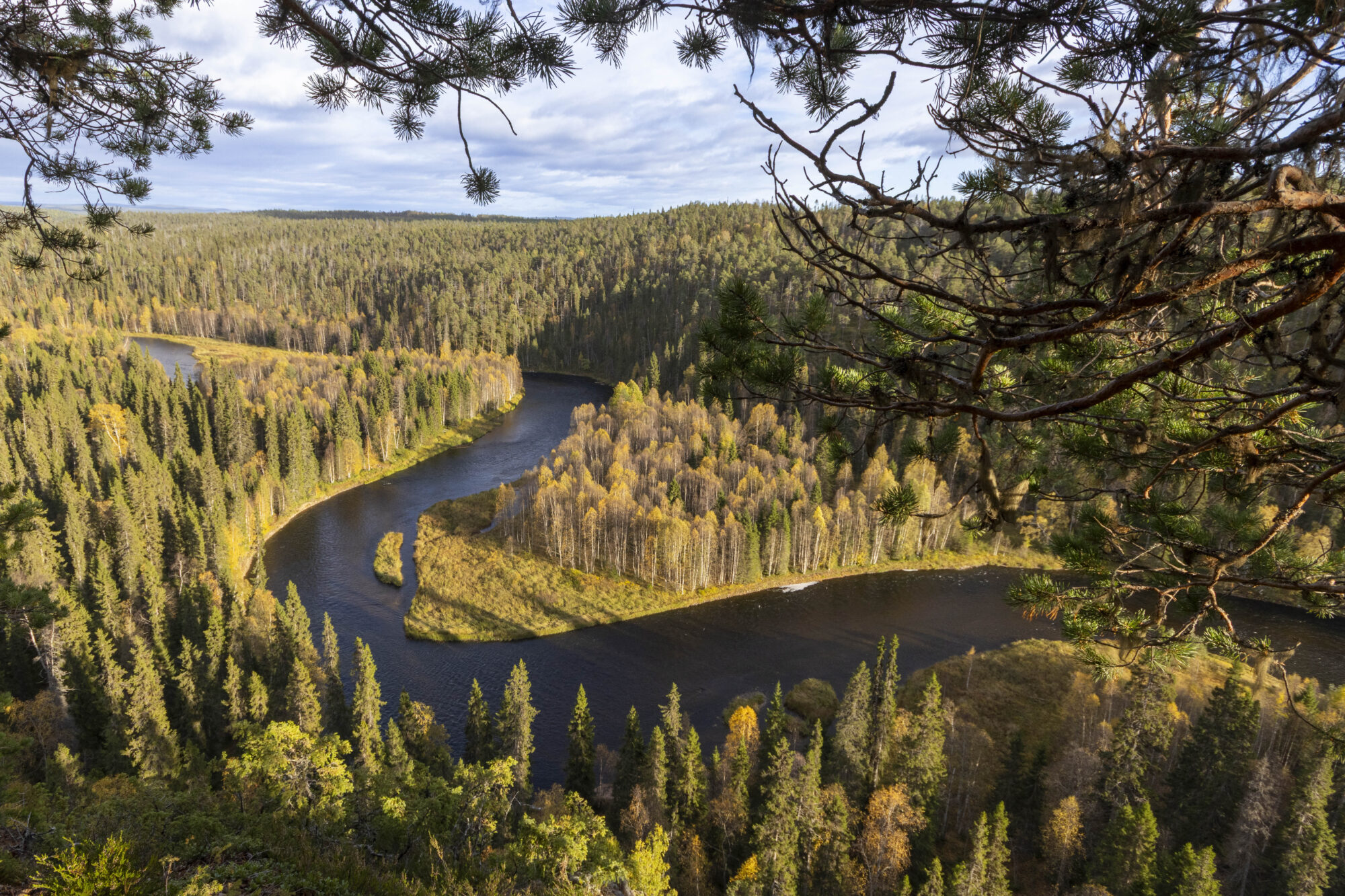 Valokuvaaja: Hannu Tikkanen