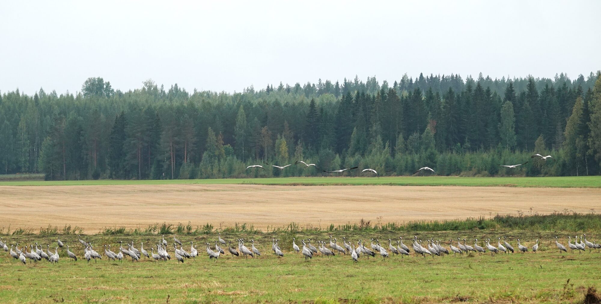 Valokuvaaja: Kaarina Heiskanen