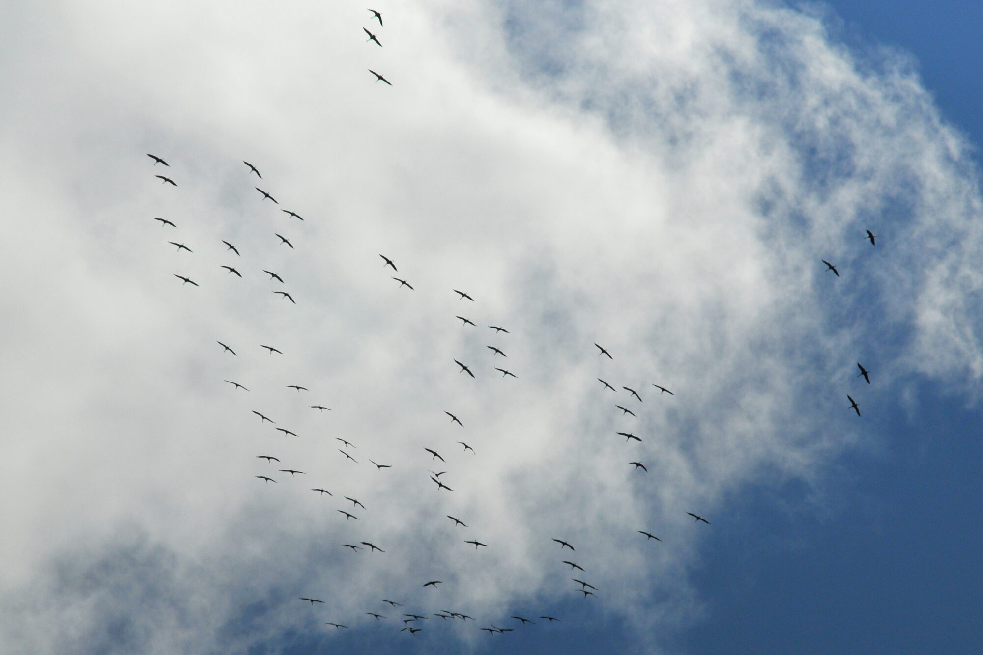 Valokuvaaja: Kaarlo Asikainen