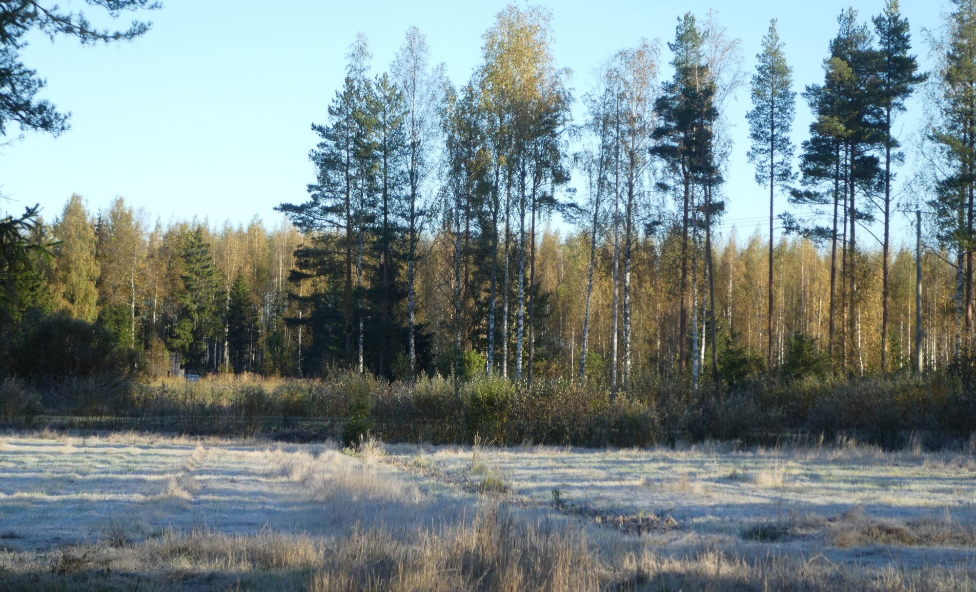Valokuvaaja: Anja Mustamaa