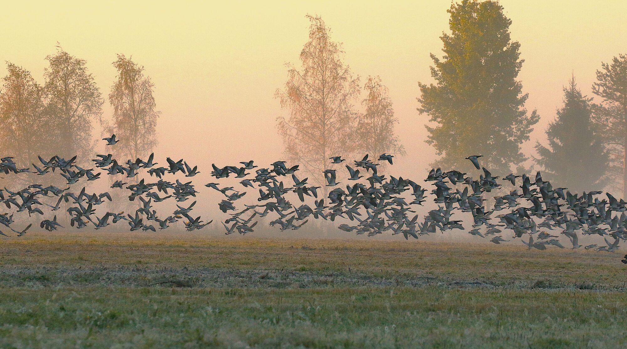 Valokuvaaja: Antero Tykkyläinen