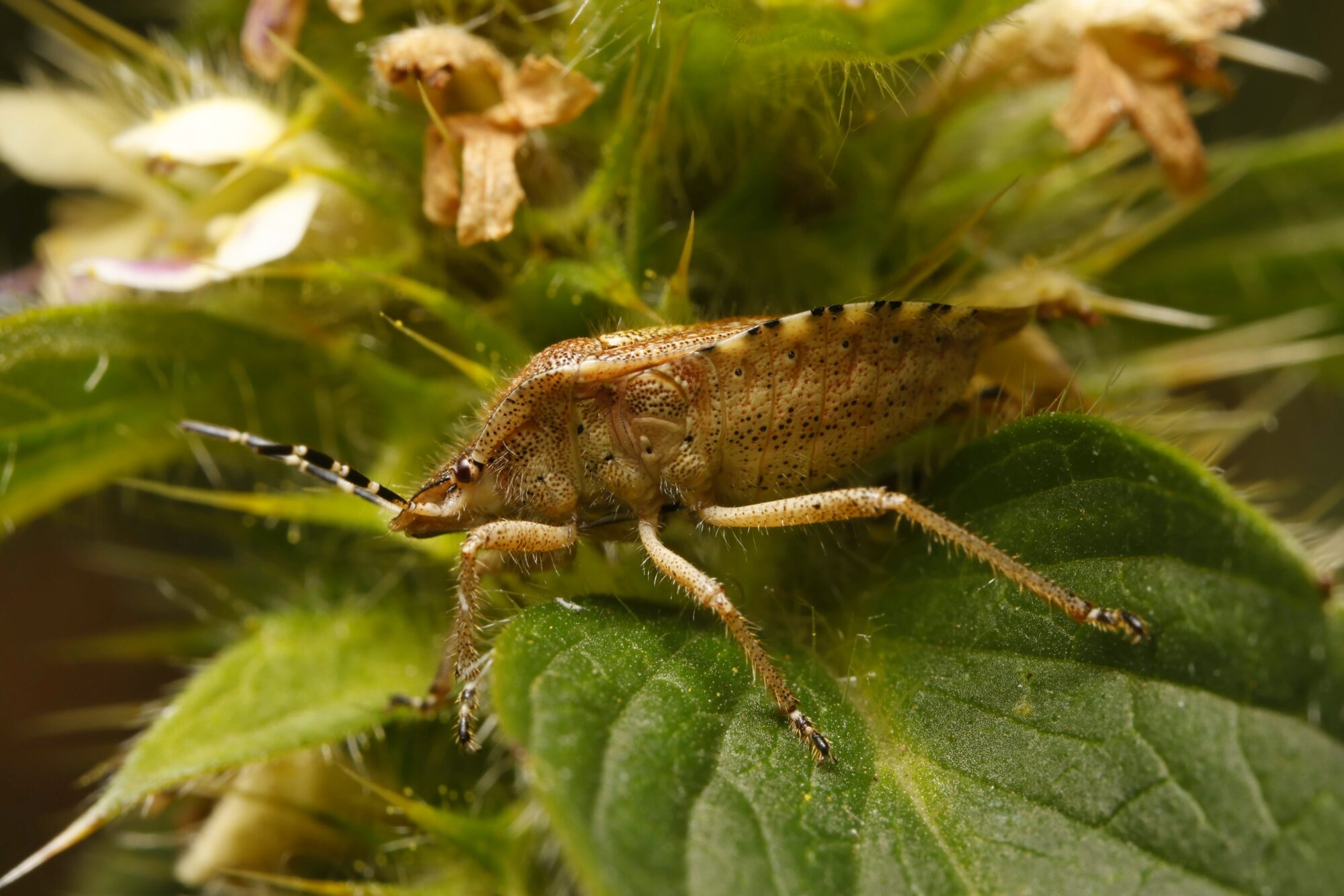 Valokuvaaja: Tommi Kujala