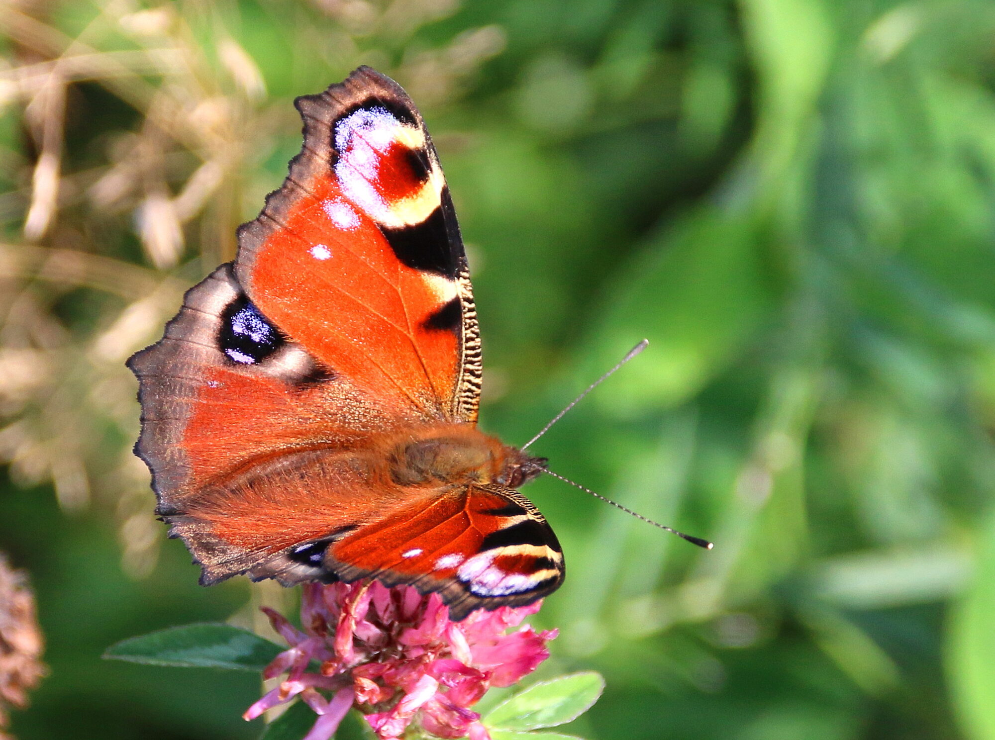 Valokuvaaja: Tuukka Pahtamaa Valokuvaaja: Tuukka Pahtamaa