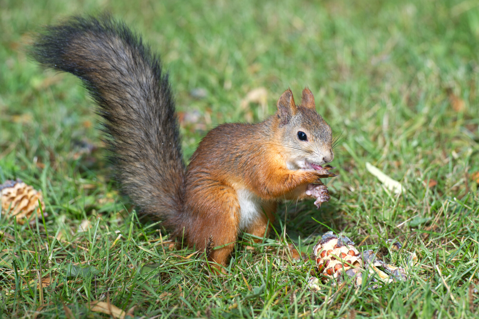Valokuvaaja: Päivi Kiiskinen-Mustonen