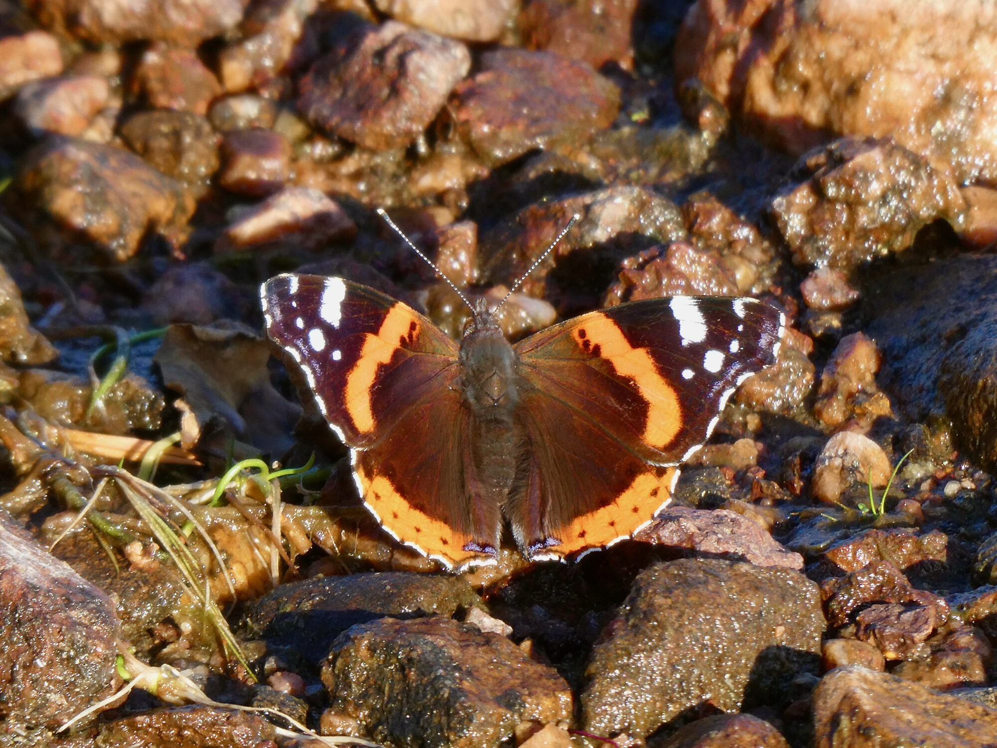 Valokuvaaja: Liisa Niiva-Korpela Valokuvaaja: Liisa Niiva-Korpela