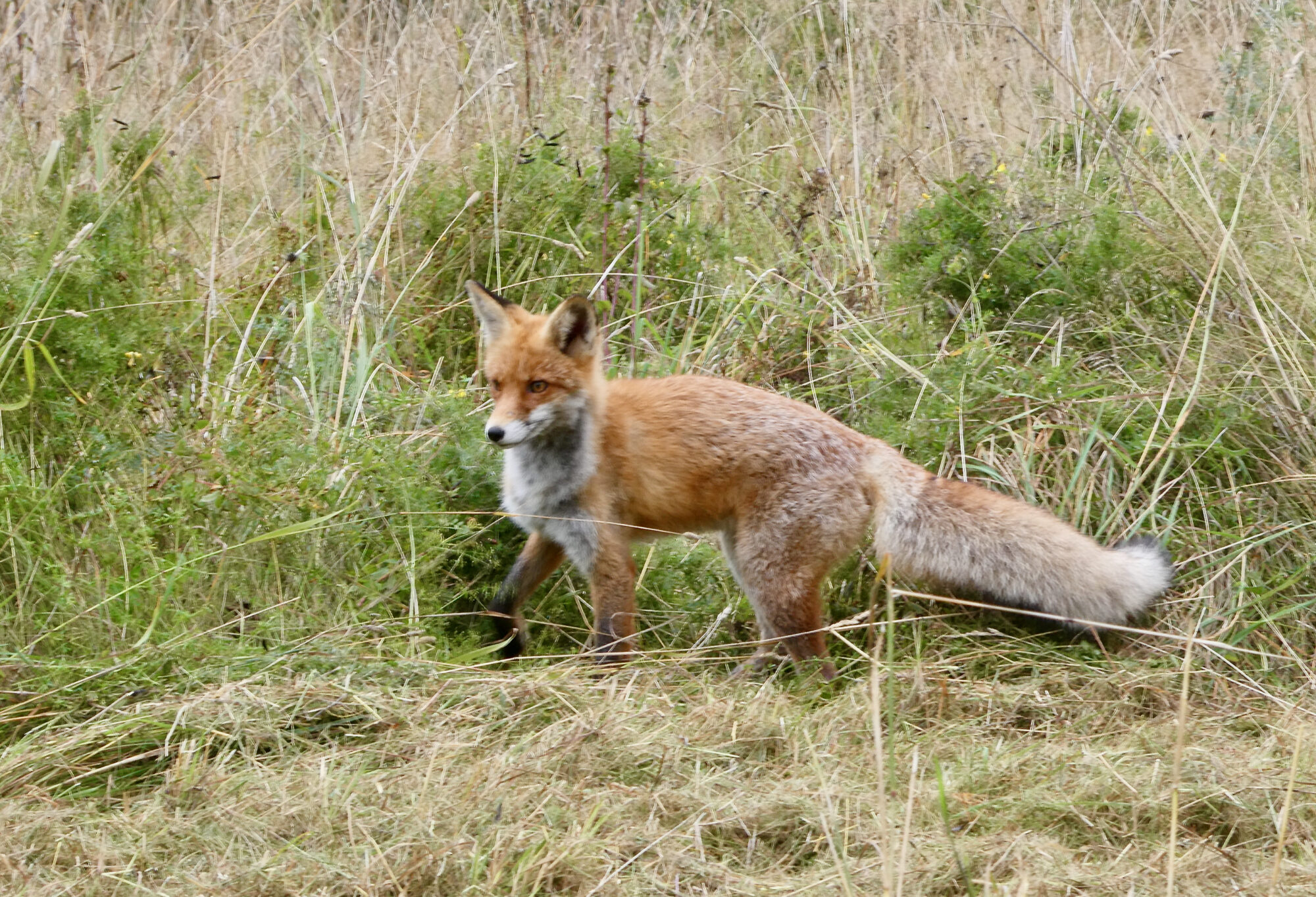 Valokuvaaja: Liisa Niiva-Korpela