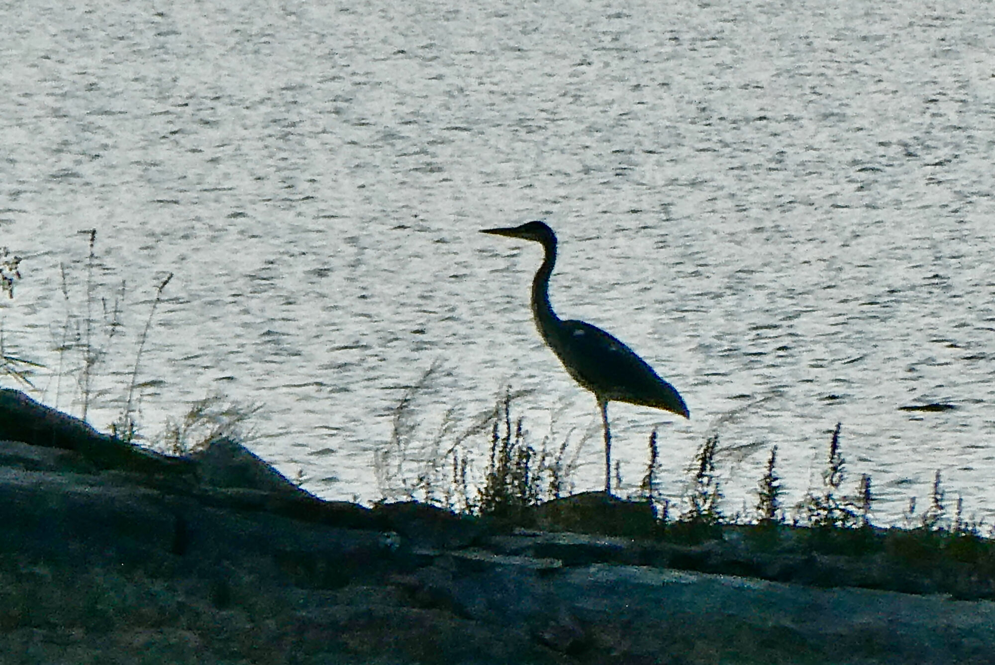 Valokuvaaja: Liisa Niiva-Korpela