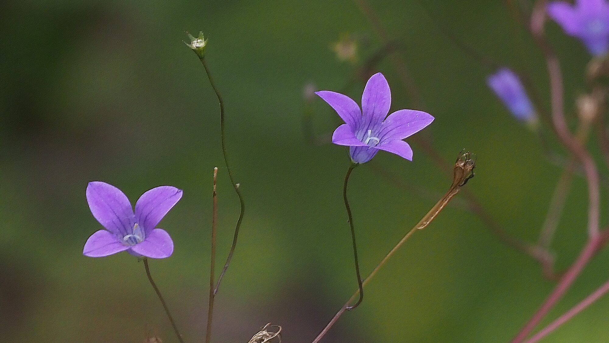 Valokuvaaja: Arja Valtonen