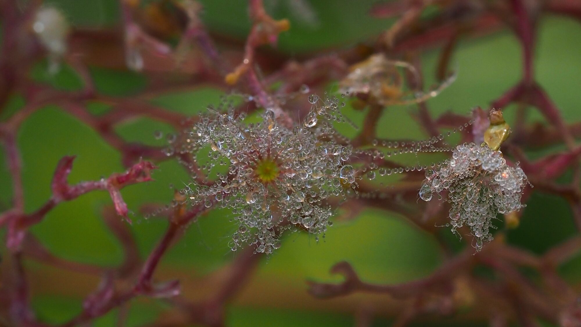 Valokuvaaja: Arja Valtonen