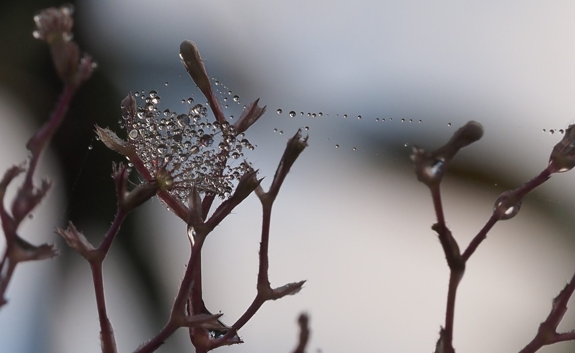 Valokuvaaja: Arja Valtonen