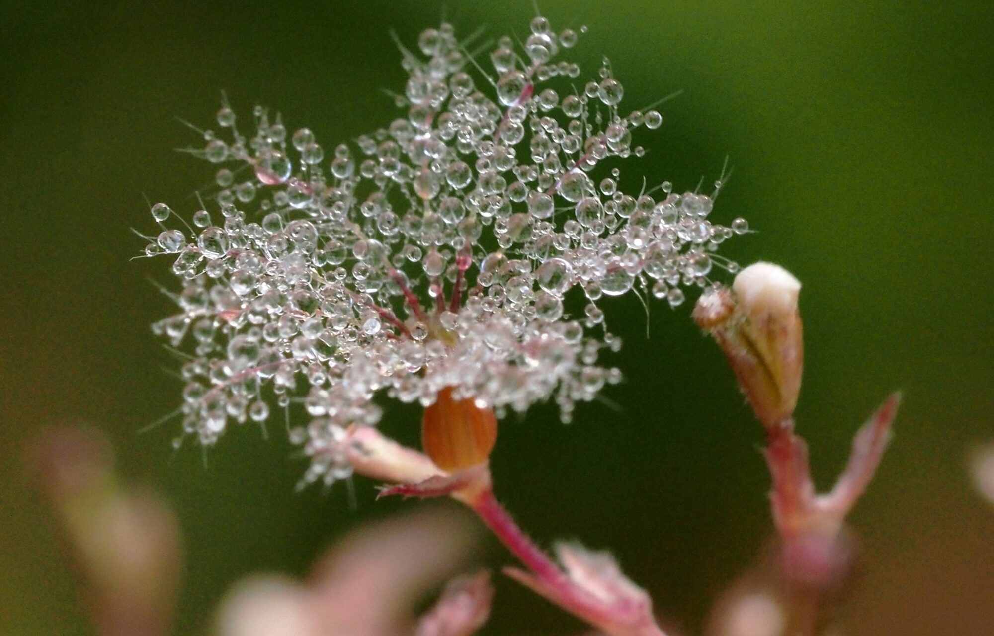 Valokuvaaja: Arja Valtonen Valokuvaaja: Arja Valtonen