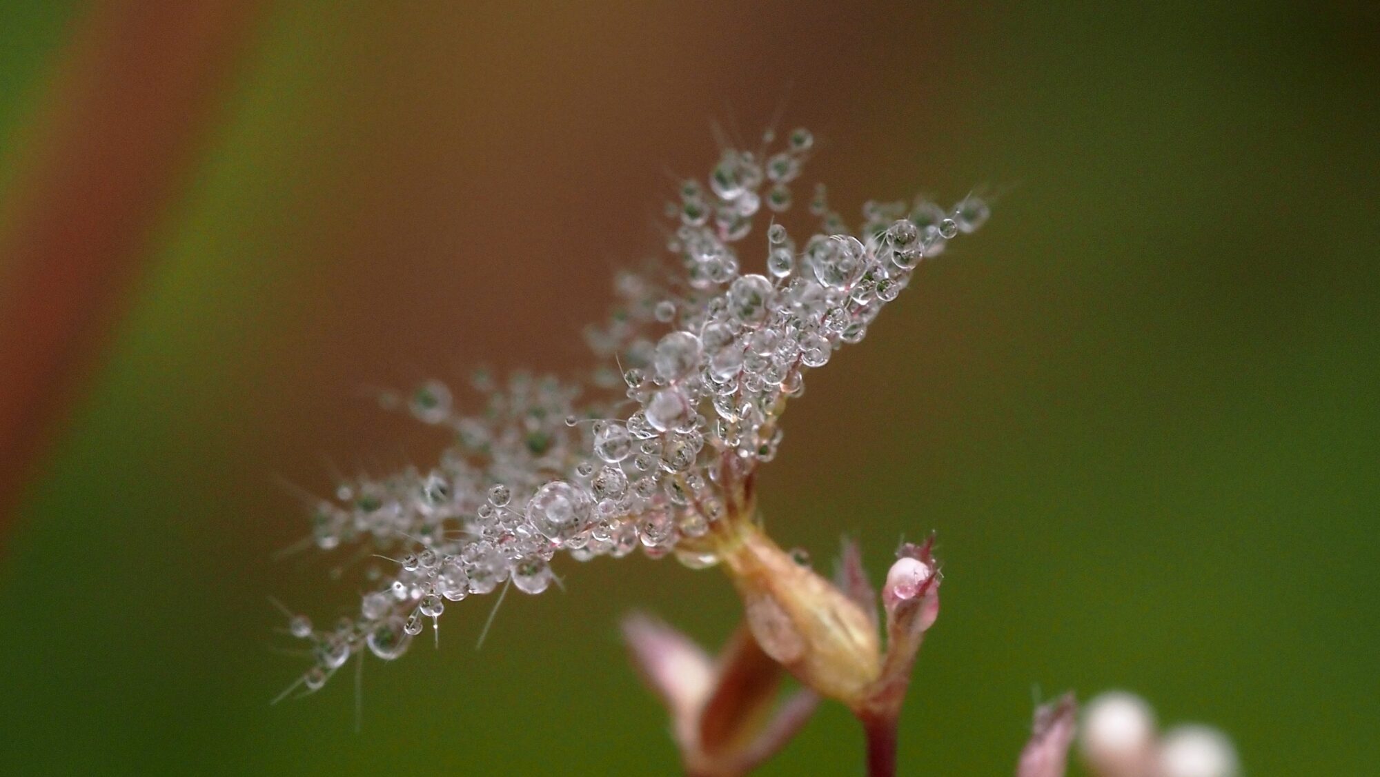 Valokuvaaja: Arja Valtonen