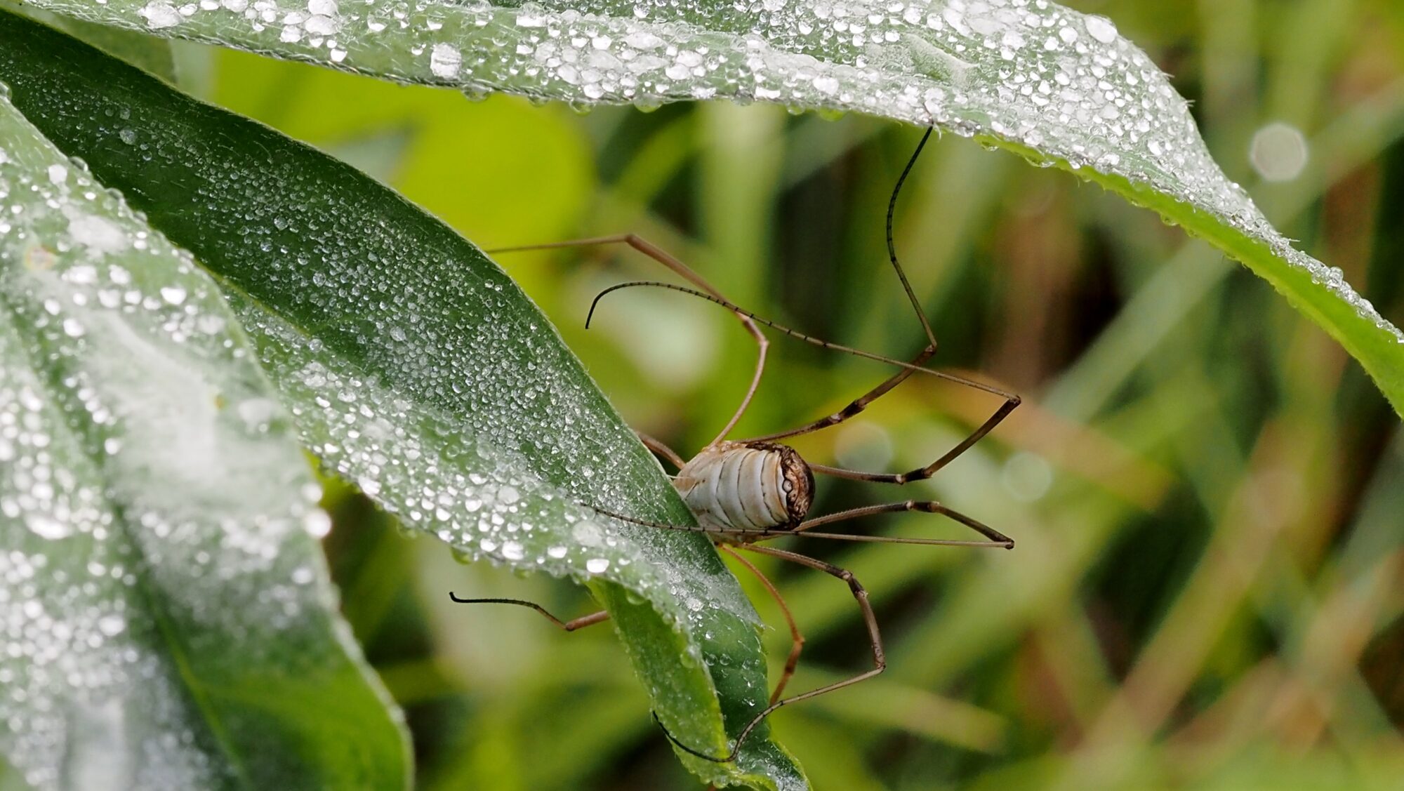 Valokuvaaja: Arja Valtonen