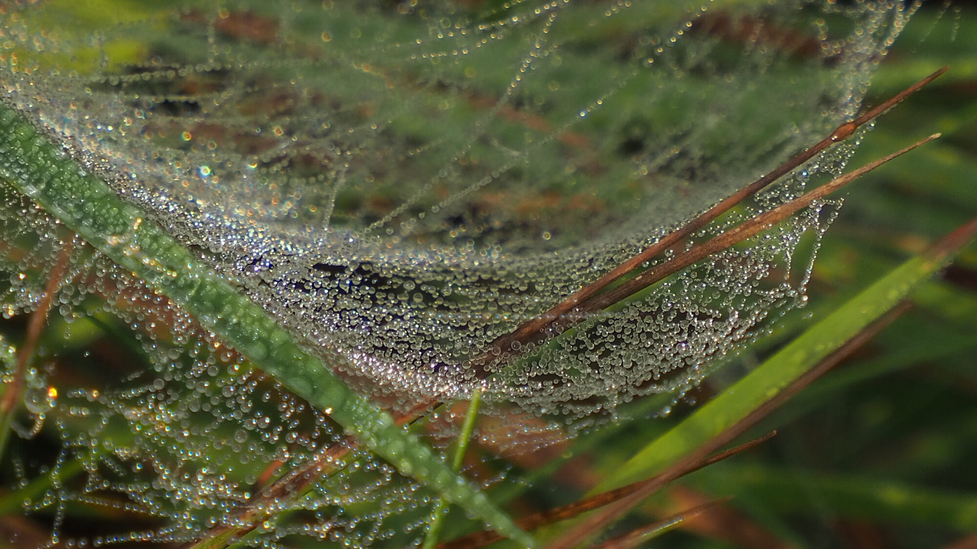 Valokuvaaja: Martti Valtonen Valokuvaaja: Martti Valtonen