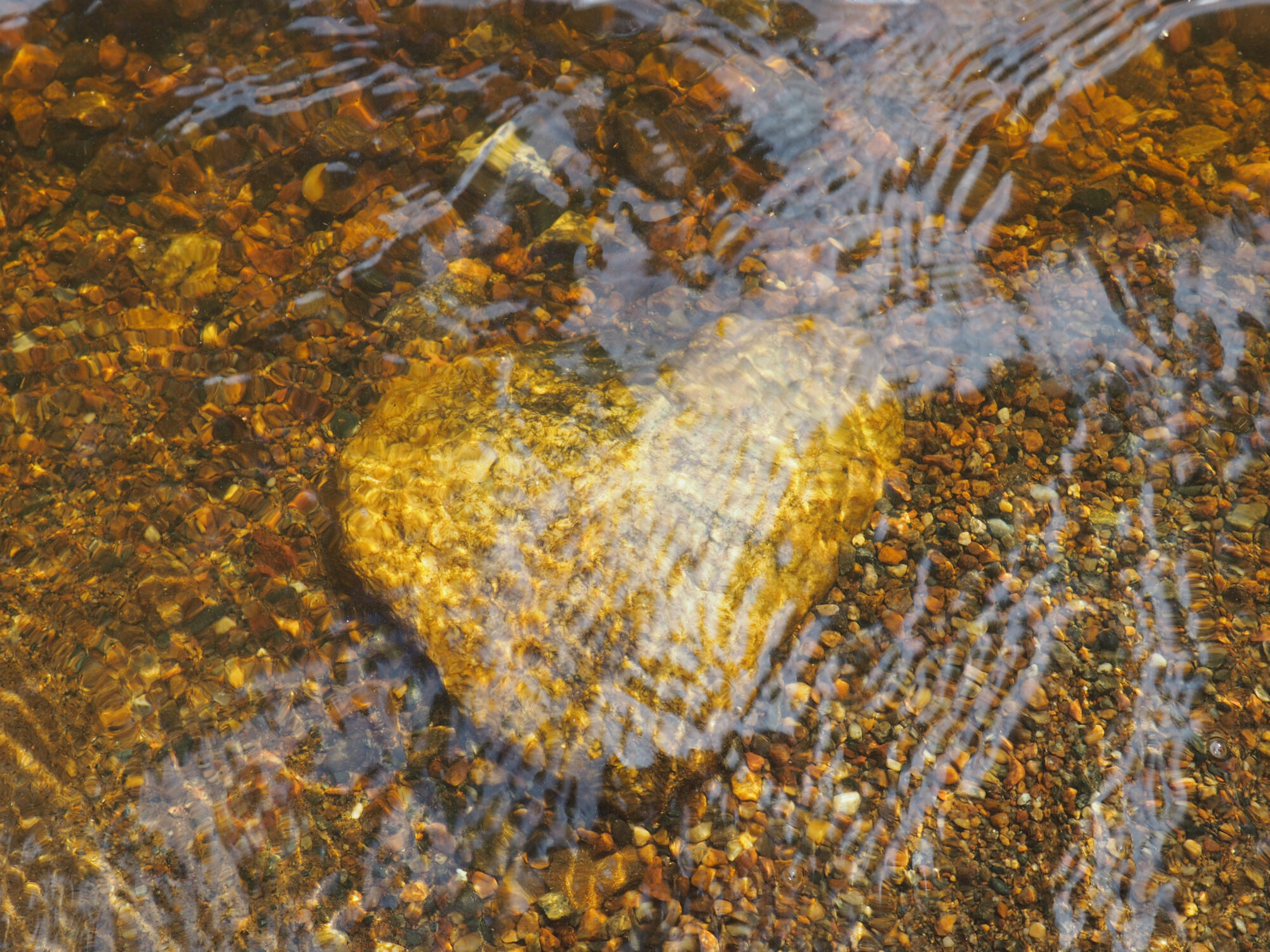 Valokuvaaja: Toni Asikainen