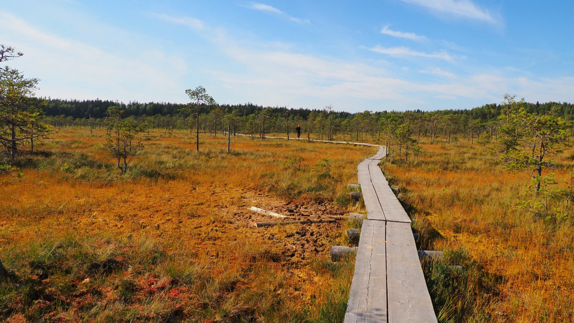 Valokuvaaja: Arja Valtonen