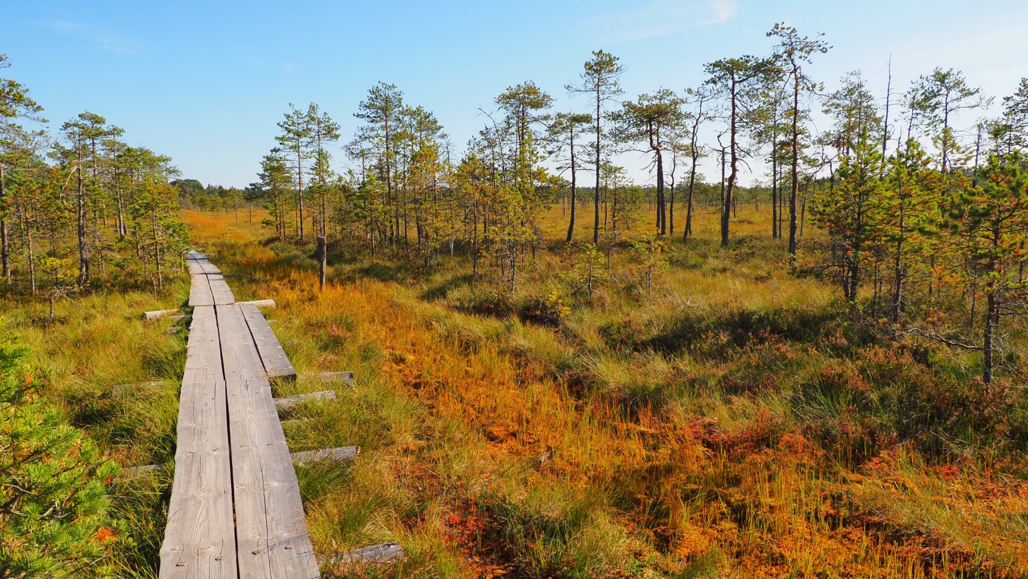 Valokuvaaja: Arja Valtonen