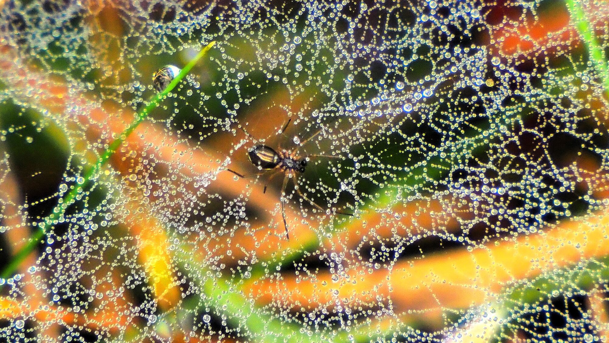 Valokuvaaja: Arja Valtonen