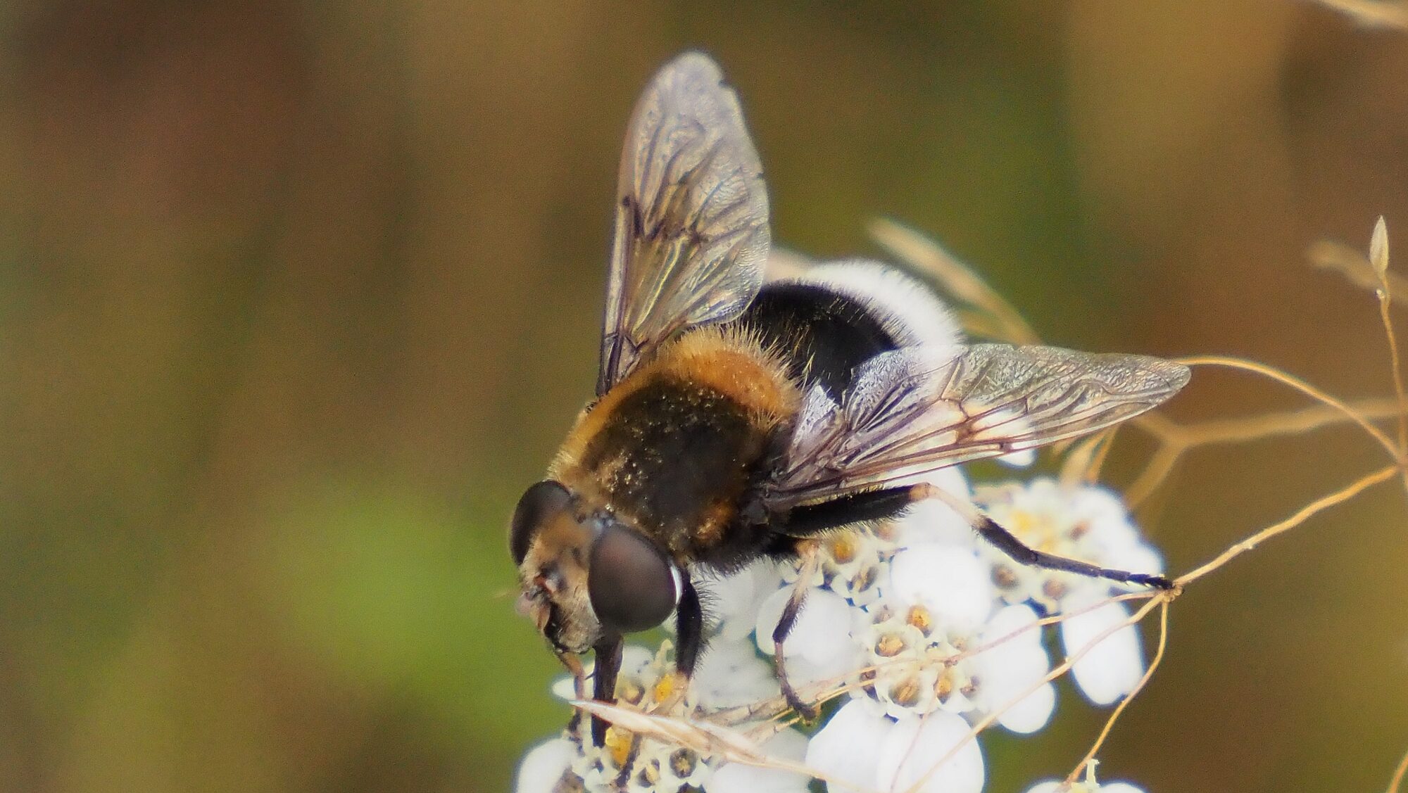 Valokuvaaja: Arja Valtonen