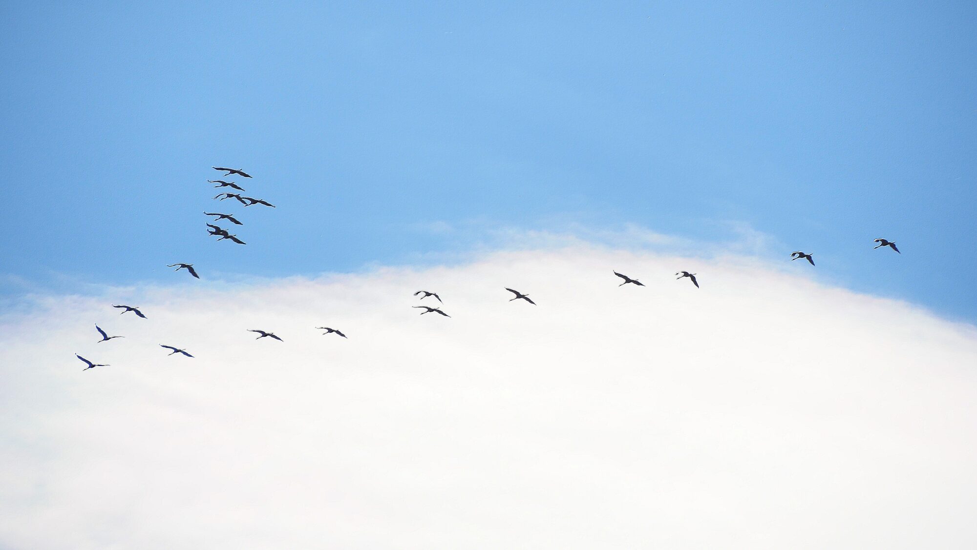 Valokuvaaja: Arja Valtonen