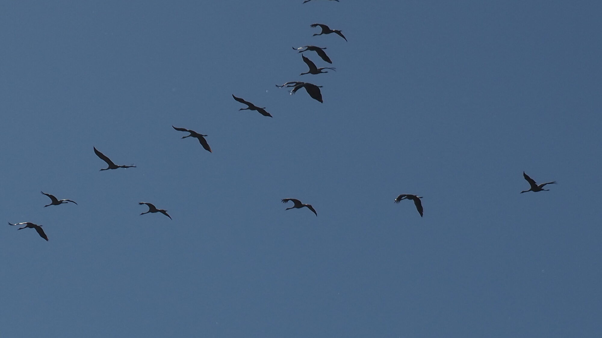 Valokuvaaja: Martti Valtonen