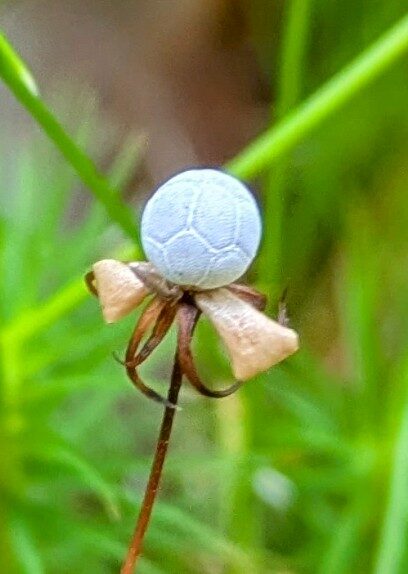 Valokuvaaja: Anu Lapinlampi