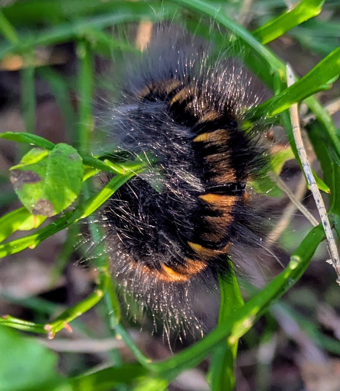 Valokuvaaja: Anu Lapinlampi