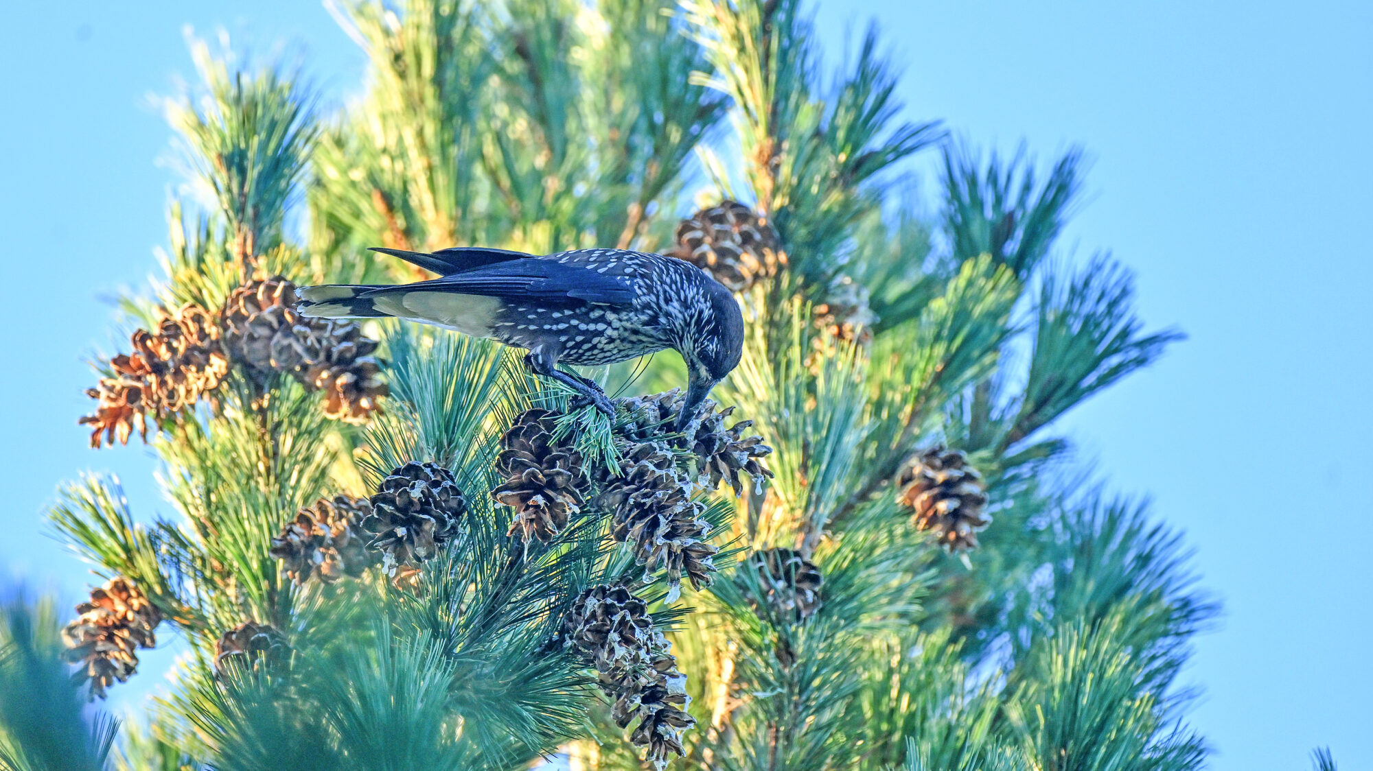 Valokuvaaja: Esko Pihl