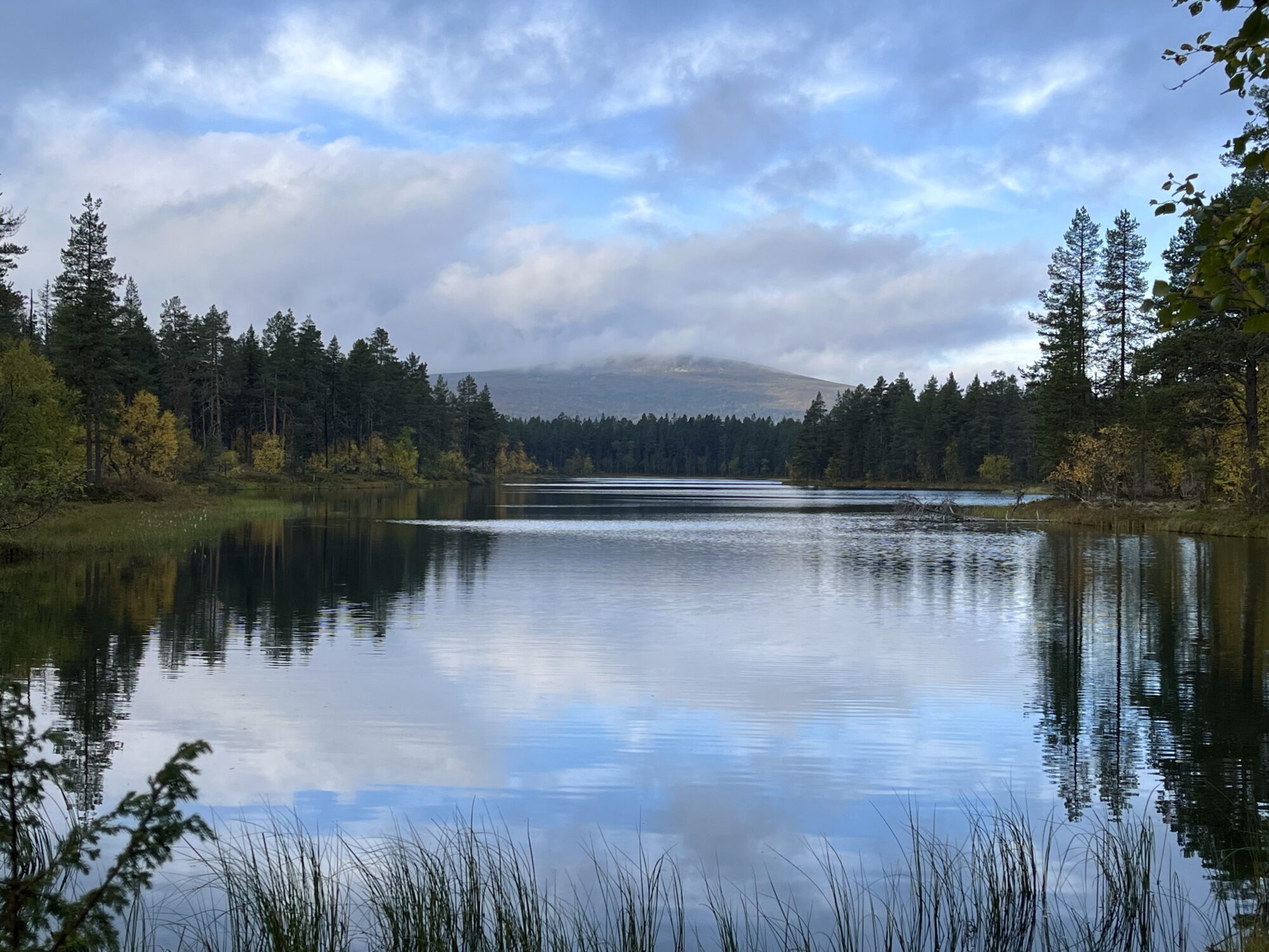 Valokuvaaja: Tuukka Pahtamaa